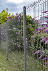 Clôture de panneaux métalliques	