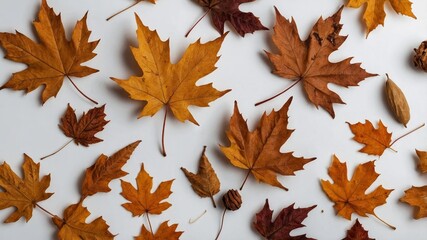 Fototapeta premium Dried maple leaves on white autumn background