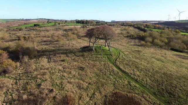 Aerial pulling out from 6 lone trees on ancient hilltop burial site. Seven Sisters - Houghton-le-Spring, UK