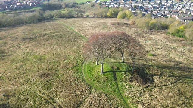 Aerial circling group of 6 lone trees on ancient tumulus hilltop site. Seven Sisters - Houghton-le-Spring, UK