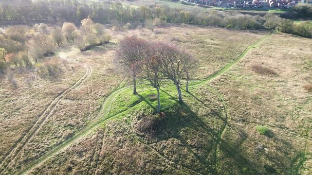 Aerial circling 6 lone trees on ancient burial site on hilltop. Seven Sisters - Houghton-Le-Spring, UK