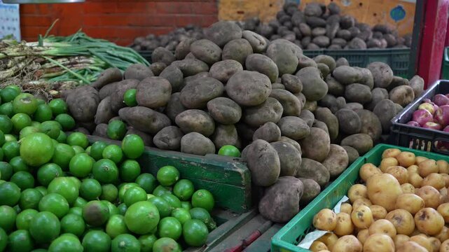 Potatoes of Different Types at Local Farms Market