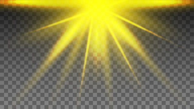 Yellow sunlight from above is bright on a transparent background