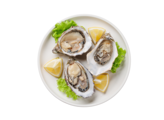 Fresh oysters with lemon on plate