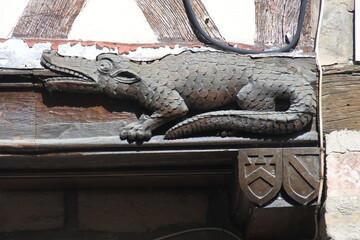 Farbige Dachziegel auf einem Hausdach in Dijon	