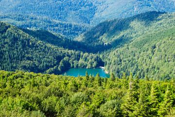 Ballon Lake in Alsace