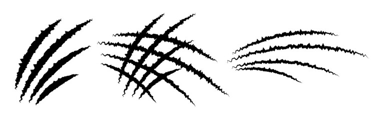 Vector animal claw scratch set on transparent background