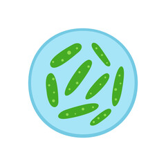 mycobacterium tuberculosis infection disease concept. TB test, medicine treatment and symptoms