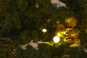 Christmas toy on a fir branch Christmas golden ball with stars - with blurred background