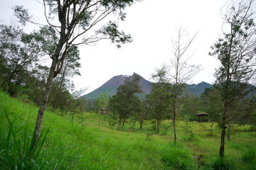 views of the dashing Mount Merapi with a stretch of green trees