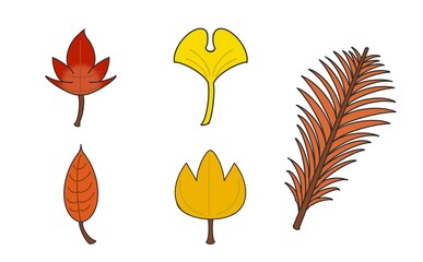 秋の紅葉5種類の葉っぱ