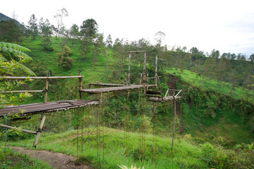 expanse of mountains with beautiful green trees