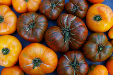 Flat lay of large farm tomatoes on dark background. Imperfect natural vegetables. Top view.