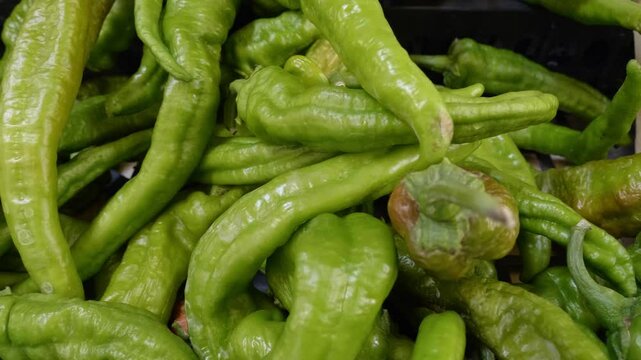 Fresh Frigitelli Peppers at Italian Market, Celebrating Regional Flavors