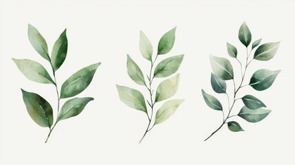 Fototapeta premium Watercolor Leaves Collection, Hand-painted floral illustrations featuring green leaves and branches on a white background, showcasing detailed foliage in a minimalist style