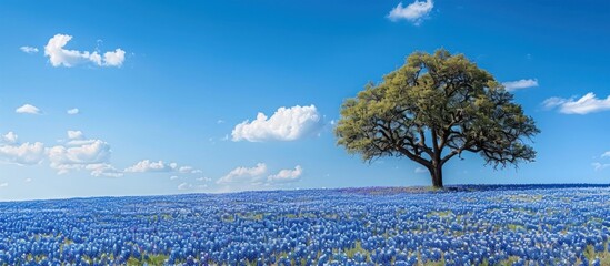 Lone Tree in a Field of Bluebonnets Under a Bright Blue Sky