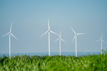 Windmills for electric power production, summer field, renewable energy