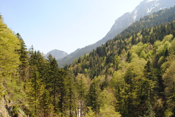 Travel, rocks, mountains, forests, nature, castle, sky, architecture, history, cathedral, monument, statue, panorama, city, plants, flowers