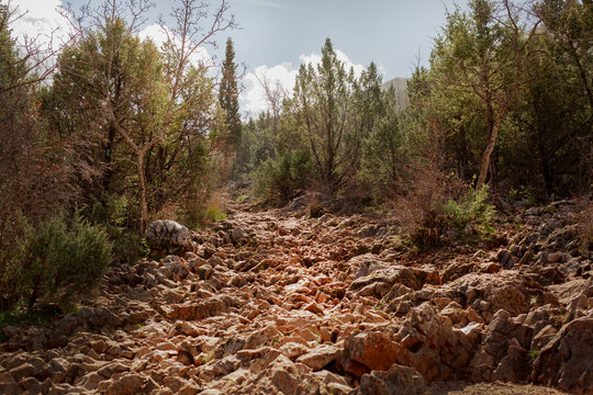 the Krizevac cross rocky way in Medjugorje