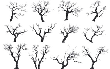 A vector collection of black tree silhouettes on a white background, showcasing a variety of tree types with intricate details
