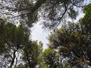 Looking for some inspiration from above. 