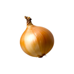 White onion isolated on transparent background. white onion png