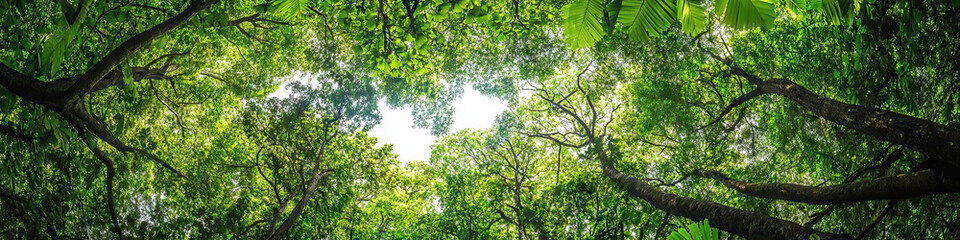 A breathtaking panoramic view of a rainforest canopy, with a dazzling array of green leaves stretching out as far as the eye can see.