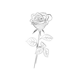 Line art. Rose in line art style. Vector