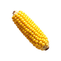 Corn floating in the air isolated on a transparent background. Corn png