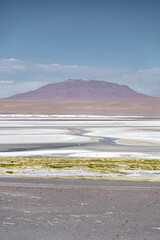 laguna in the desert