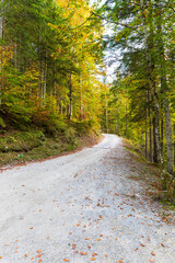 Adamello Brenta Natural Park