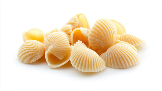 Conchiglie rigate. Raw shell pasta isolated on white background, 