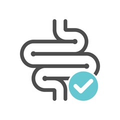 Healthy digestion icon. Intestine graphic sign isolated on white background. Vector illustration