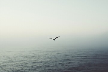 A Solitary Bird Gliding Over a Misty Ocean Horizon
