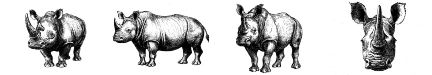 Naklejka premium Black and white hand drawn modern illustration of a rhinoceros dressed in a santa costume on a black and white background.