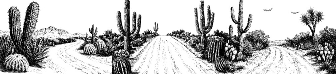 Cactus and mountain on a desert landscape with a vintage modern sketch of Arizona or Texas.