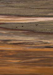 bolivian desert