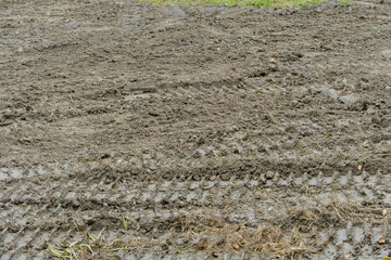 Muddy Field with Tire Marks