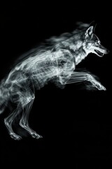 Fototapeta premium Stunning X-ray Visualization of a Running Dog Showcasing Intricate Skeleton Structure with Dynamic Movement Against a Dark Background