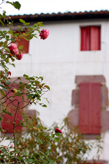 Basque style house in Etxalar, Navarre