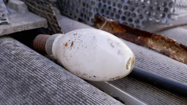 Two dusty, discarded incandescent light bulbs lie on a rusty metal surface, illustrating obsolescence and waste. This close-up shot highlights the bulbs' filaments and the surrounding dirt, suggesting