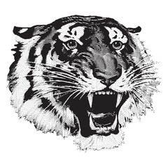 Tiger Head Roar isolated vector
