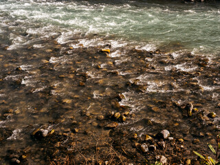 Summer flowing stream background. Water rushes through rocky creek in the forest.