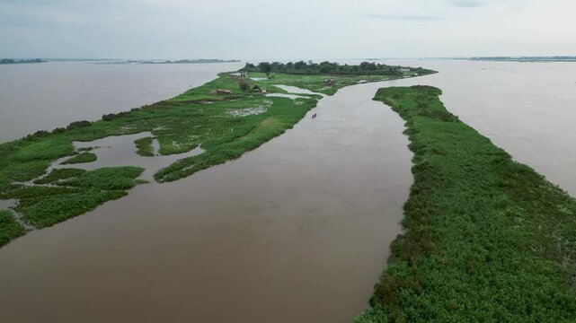 Congo Basin rainforest in the democratic republic of Congo.