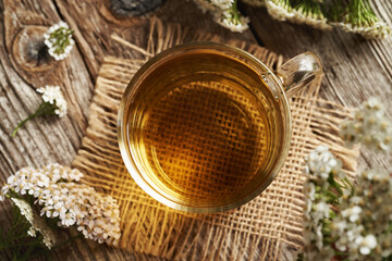 Herbal tea in a glass cup with fresh yarrow or Achillea millefolium flowers, top view
