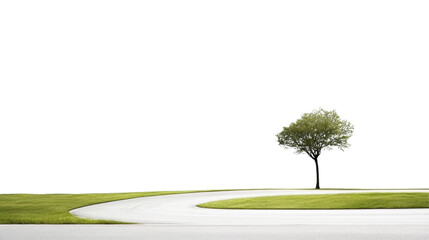 A solitary tree stands beside a winding road under a clear sky on a sunny day, highlighting nature’s simplicity and beauty