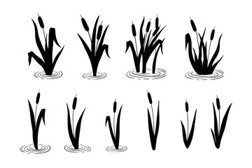 Reed plant, wetland cattail, lake grass, hand drawn silhouettes set