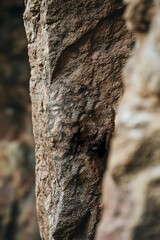Obraz premium Close Up View Of Rough Rock Texture
