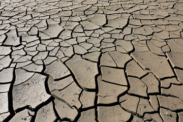 A riverbed dried up and cracked soil due to the lack of water and precipitation but also very high temperatures. Dried up river.