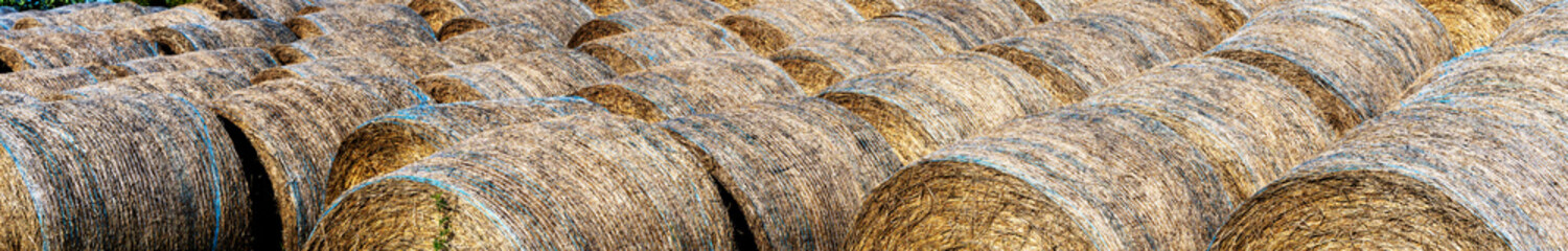 A panoramic view of hay bales
